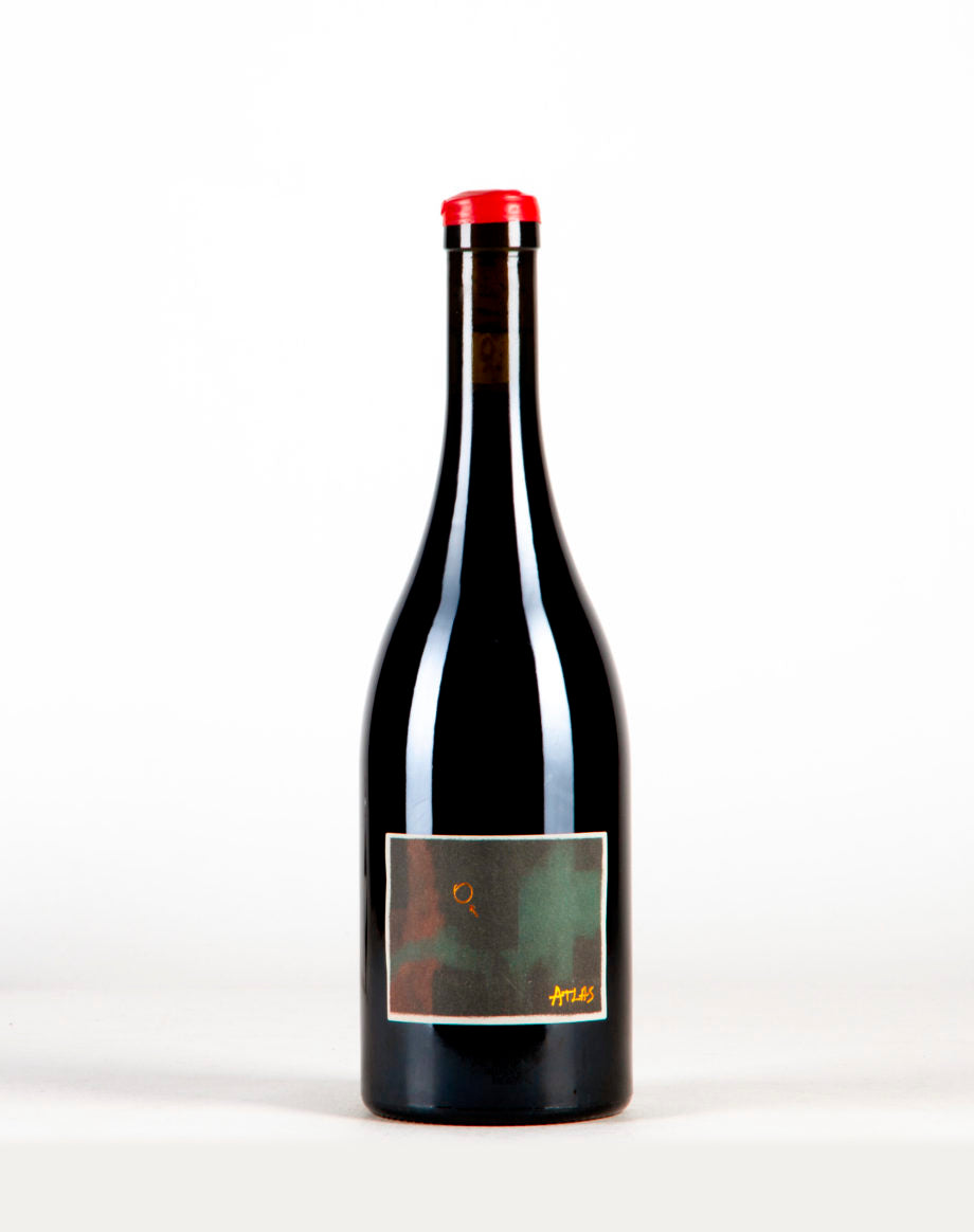 Bencze Pinot Noir, Lake Balaton, Hungary 2022 Bencze Pinot Noir, Lake Balaton, Hungary 2022