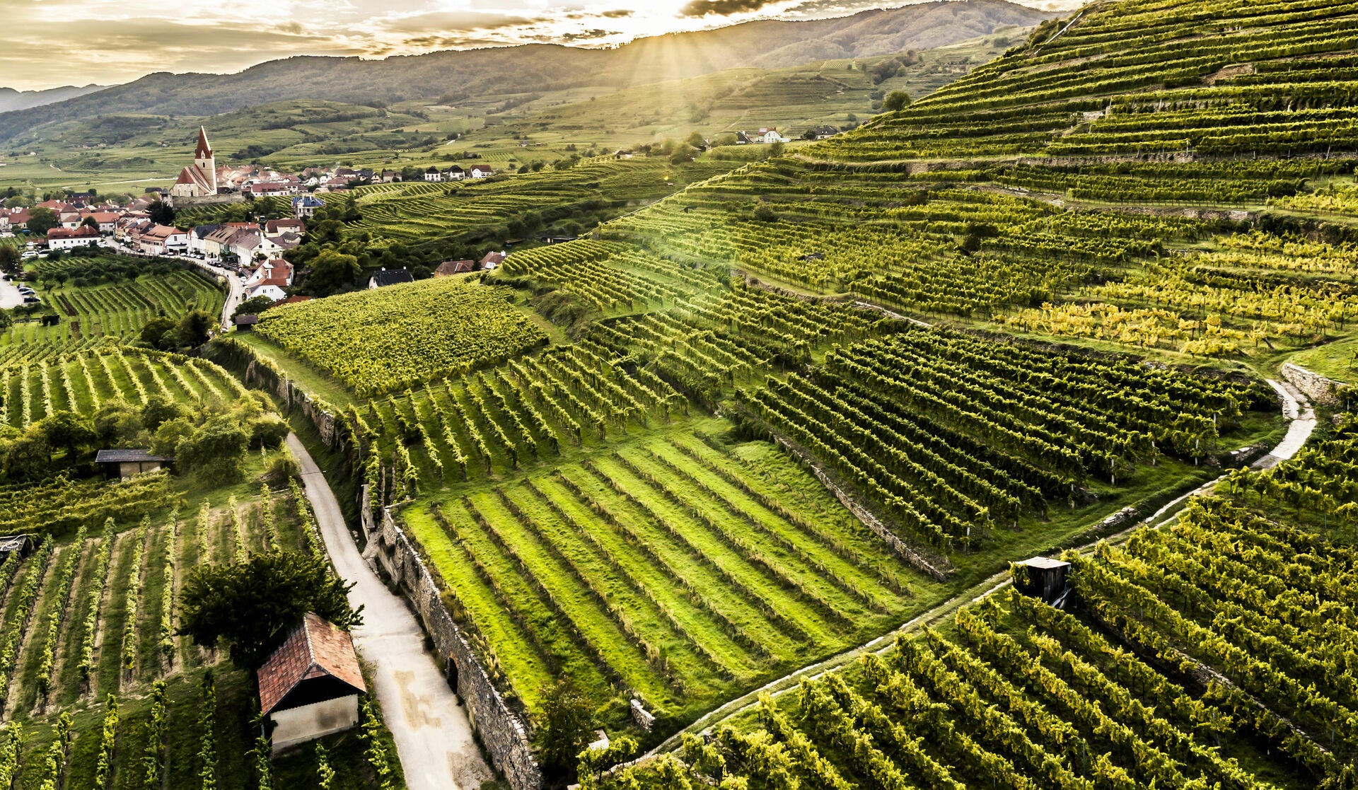 Austria Uncorked