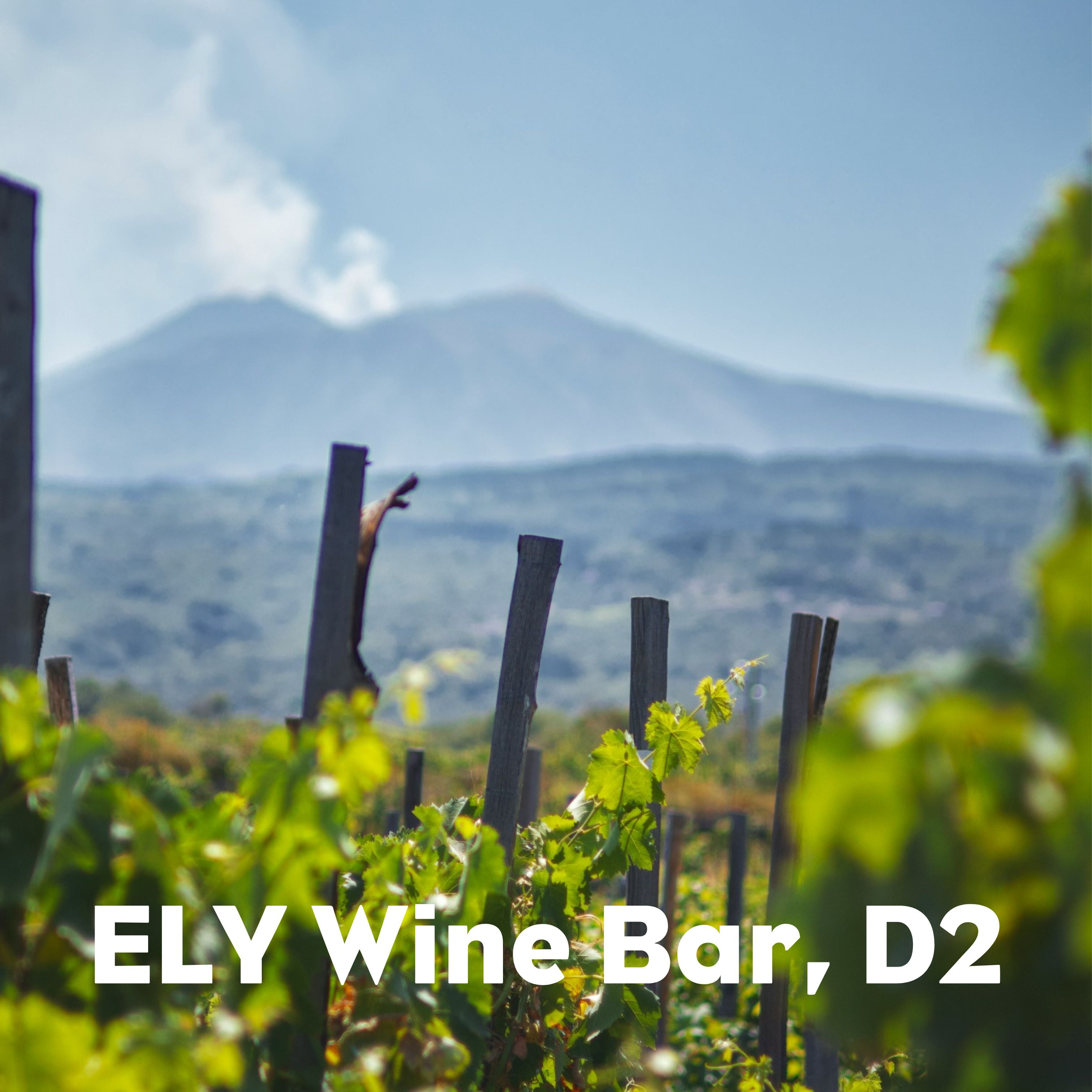 'Volcanic vineyards' some of Europe’s most interesting wines - ELY Wine bar, D2 July 18th