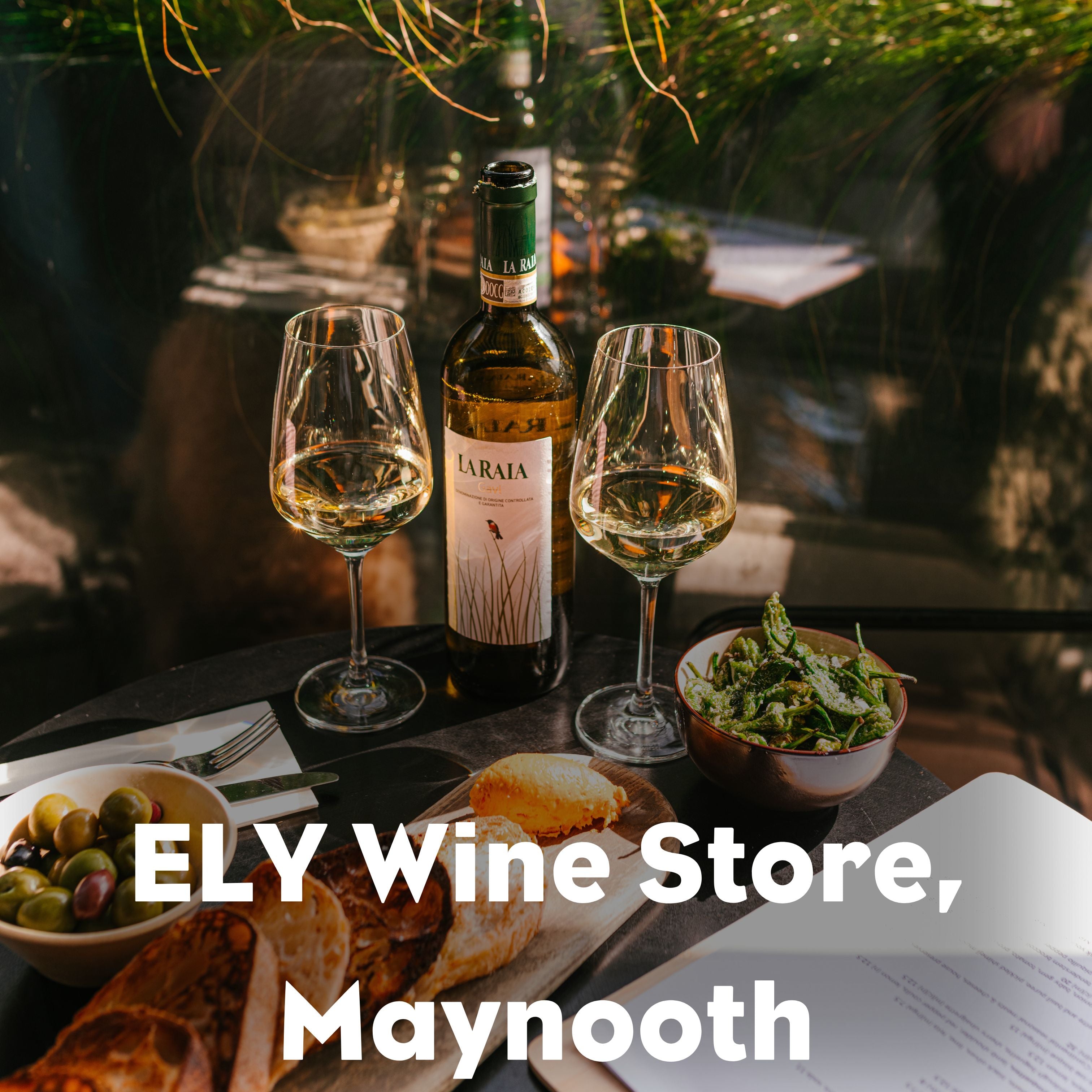'Garden party!' – Reds, whites, rose & bubbles for summer entertaining - ELY Wine Store, Maynooth May 23rd