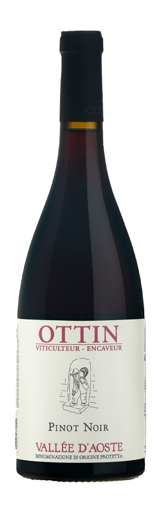 Ottin Pinot Noir