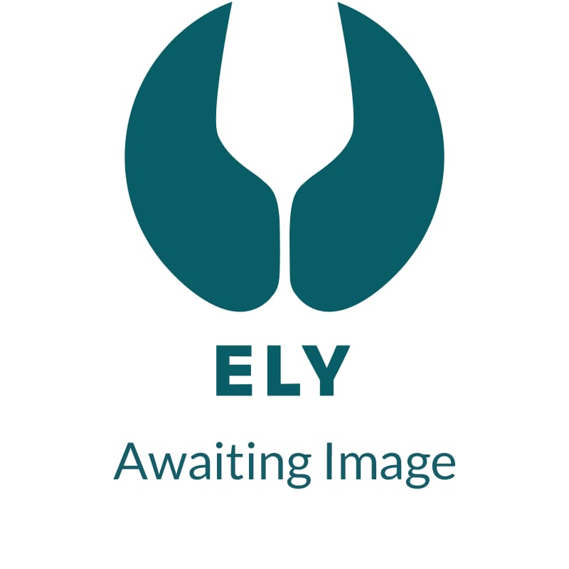 ELY Card- Generic